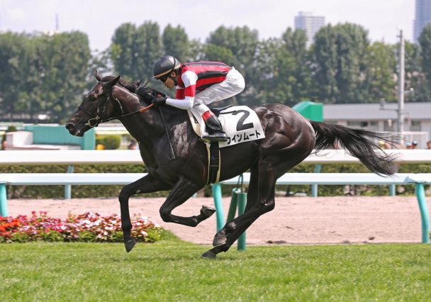 2019さきたま杯_ウインムート