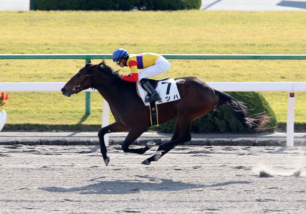 2019川崎記念_ミツバ